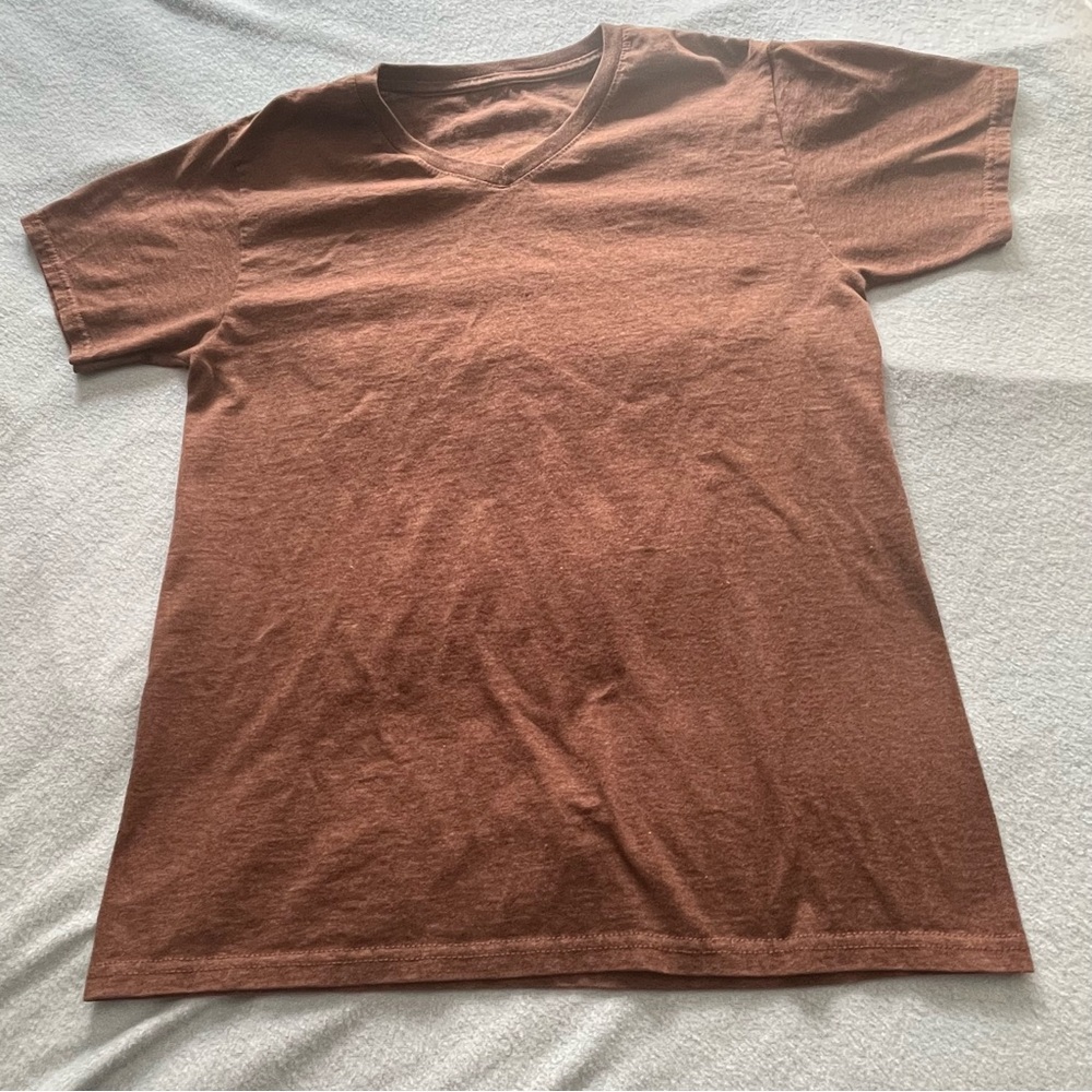 Fruit of the Loom Men's V-Neck T-Shirt in Rust Brown